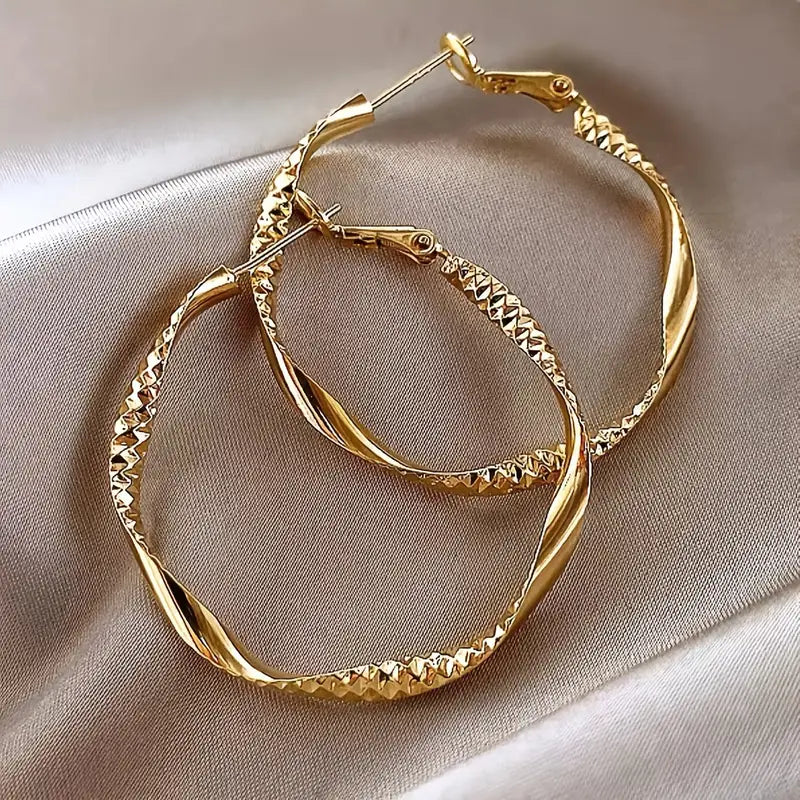 Delicate Silky Texture Design Women's Earrings